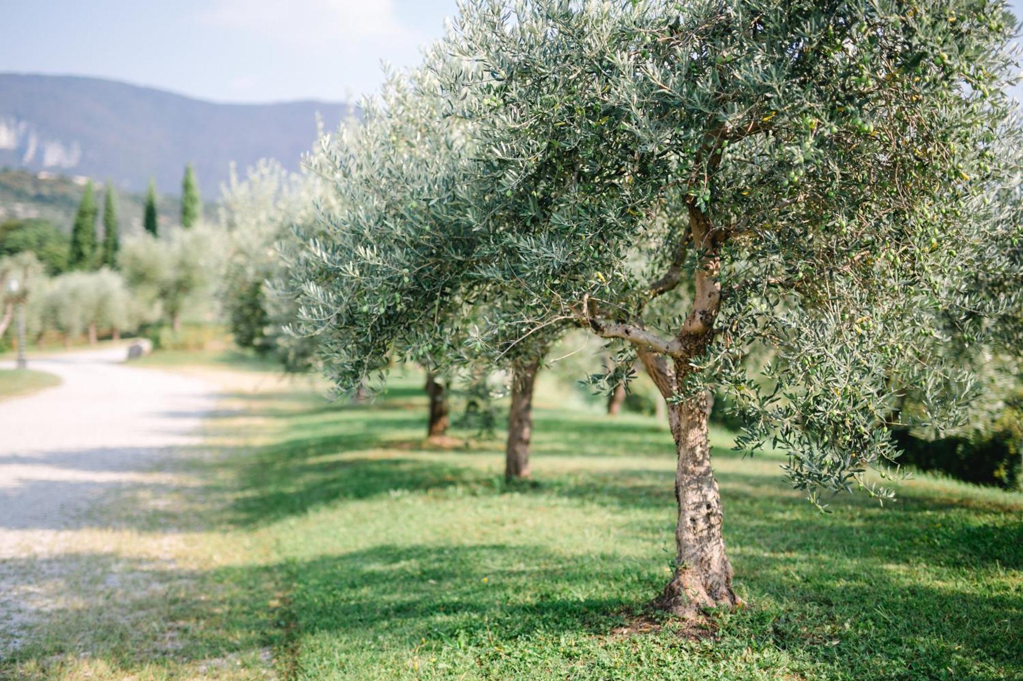 Agroturismo Tenuta La Presa *