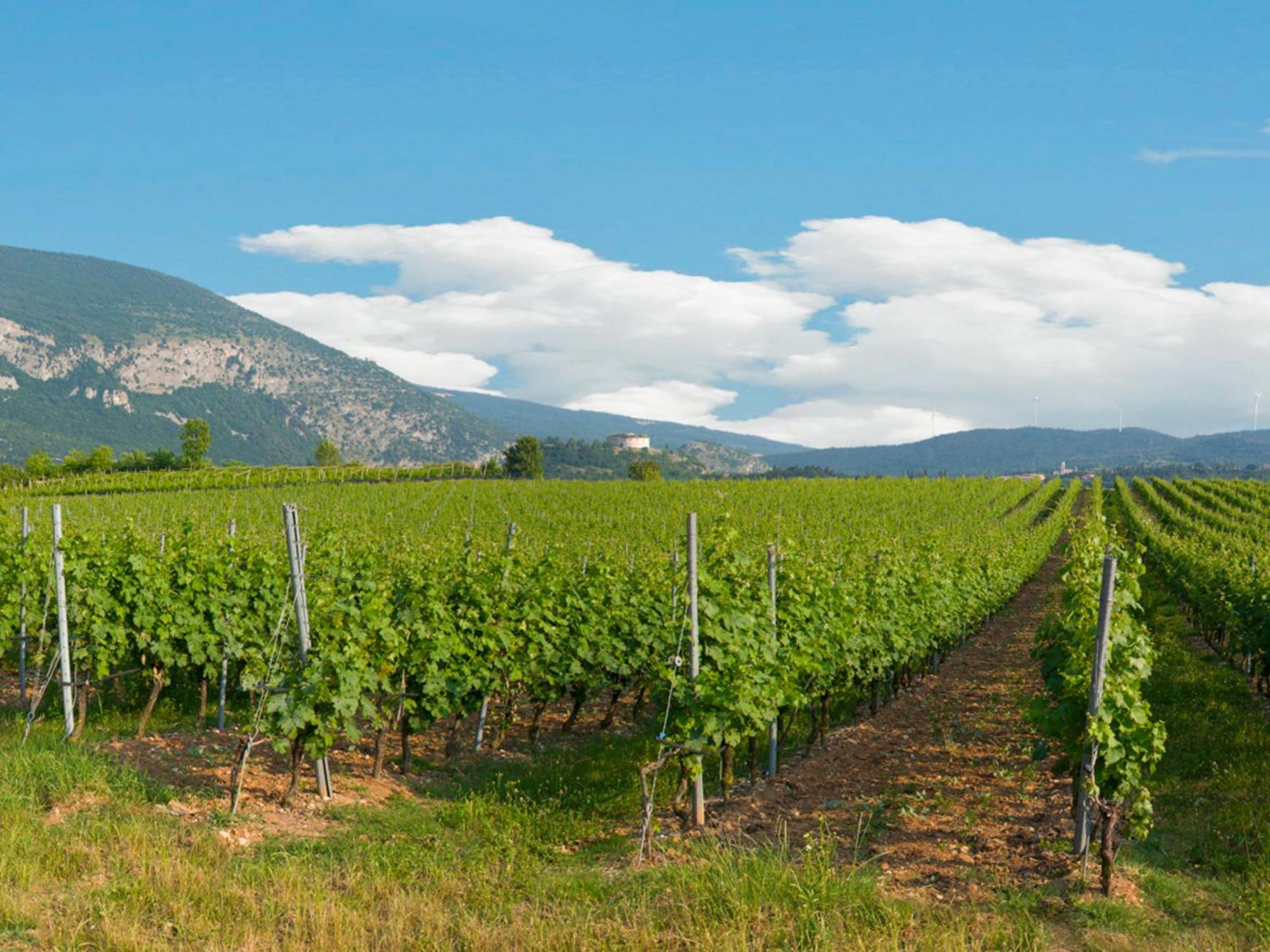 Agroturismo Tenuta La Presa