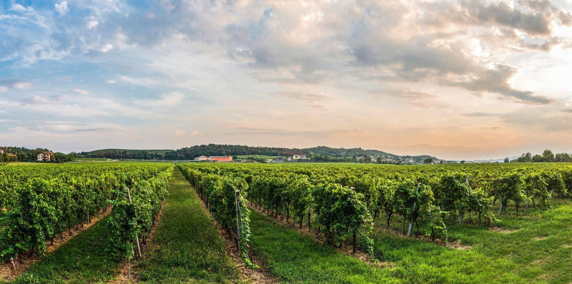 Tenuta La Presa